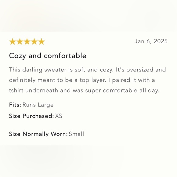 NWT Size M (P2P 26") - Anthropologie Relaxed Hooded Sweater - Picture 16 of 16